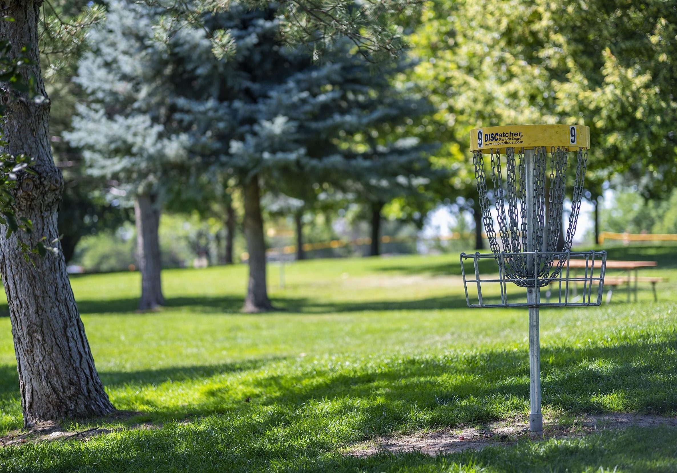 Frisbee golf basket number 9 located in Kuna's Indian Creek Park