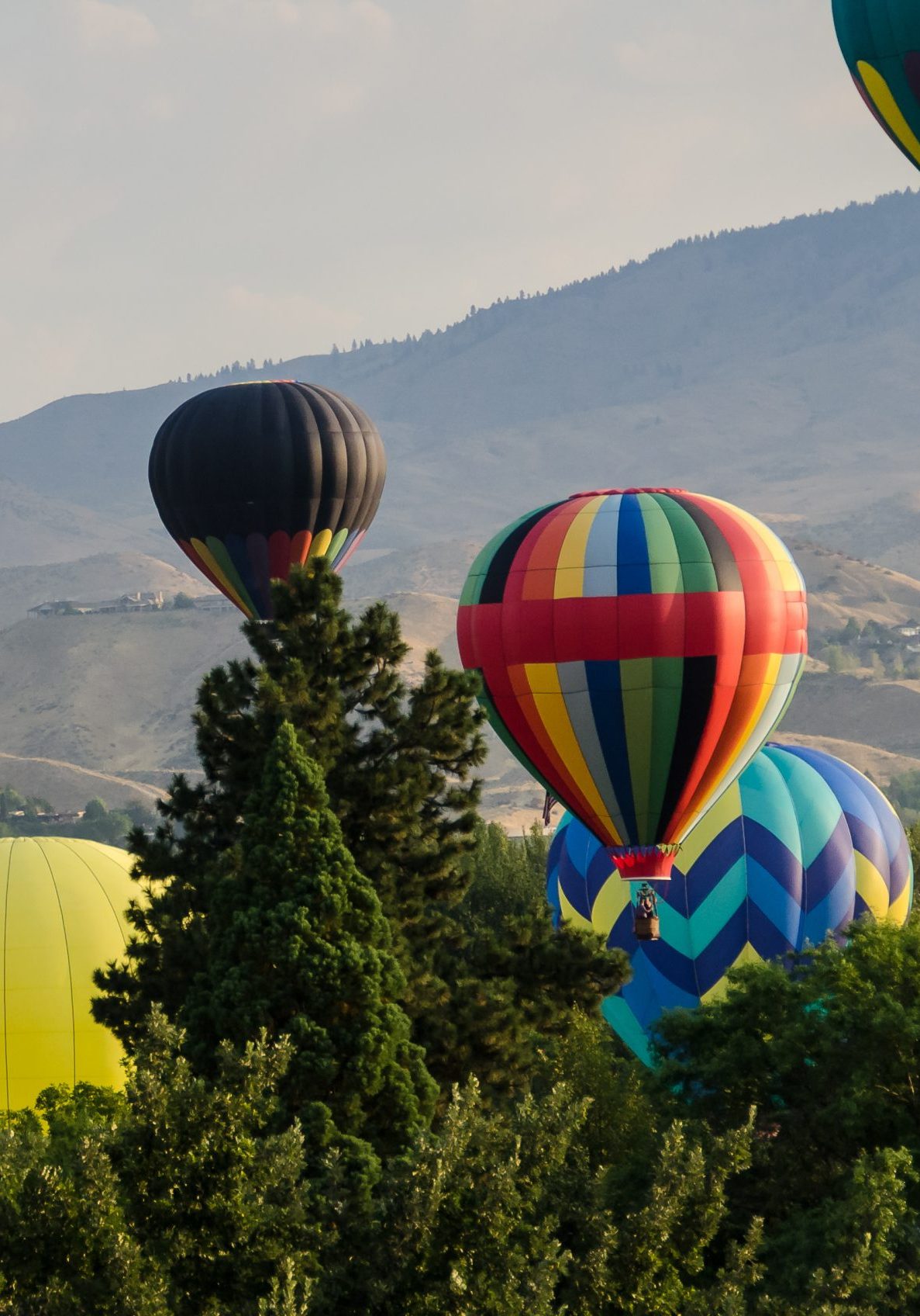 Early Morning Launch of Hot Air Balloons