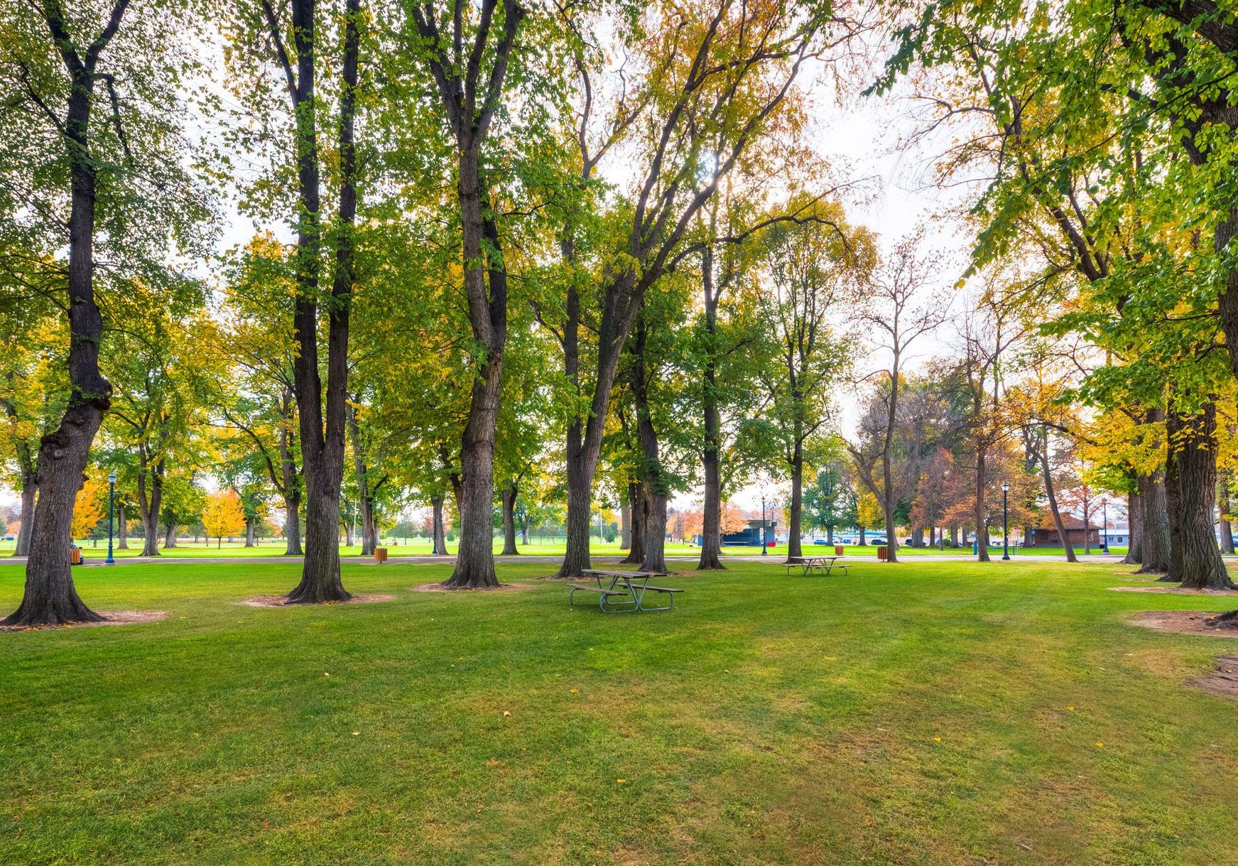 Open park near the Van Slyke Museum in Caldwell with mature trees, leaves just starting to turn yellow for the fall